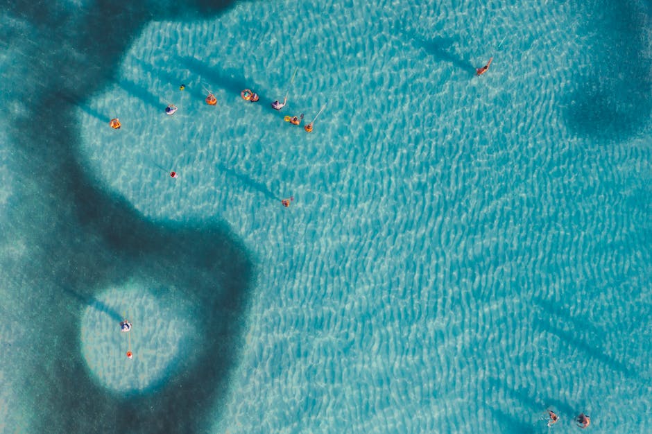 Top-down shot of people swimming in a clear, tranquil sea with visible shadows