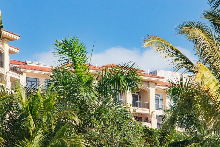 Sunny day view of a tropical resort building surrounded by lush palm trees against a clear blue sky.